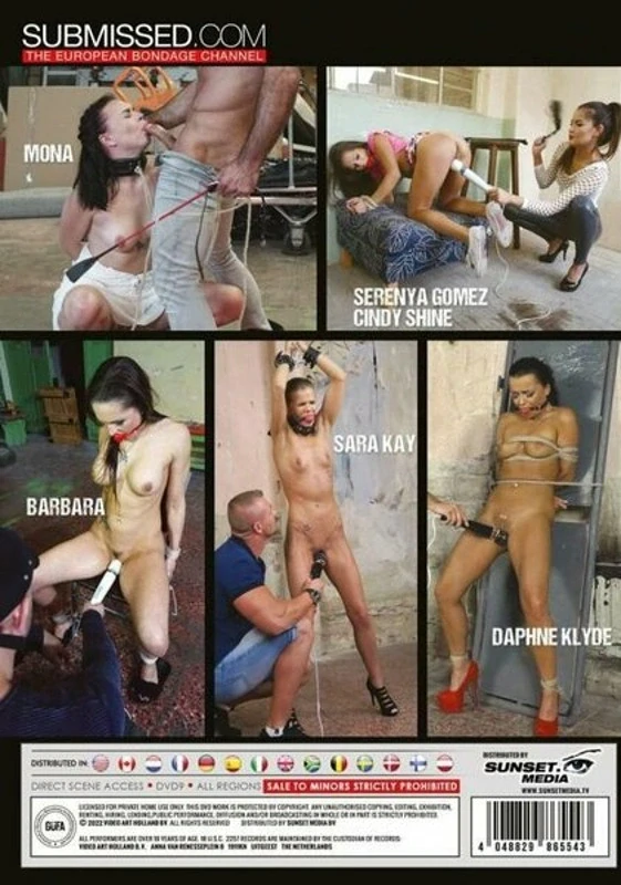 Subbed Sluts DVD